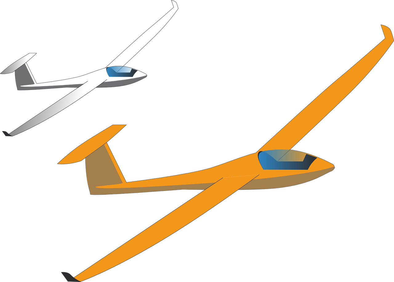 two rc gliders